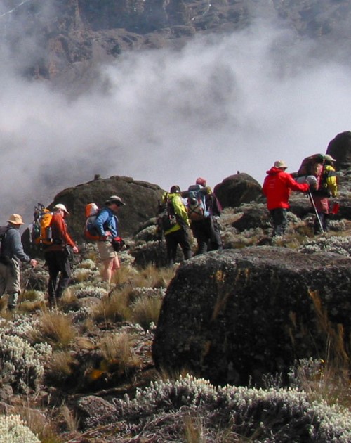 10 Day Mount Kilimanjaro Trek Via Northern Circuit