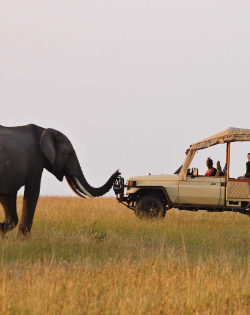 10 Days Kenya Safari Tour