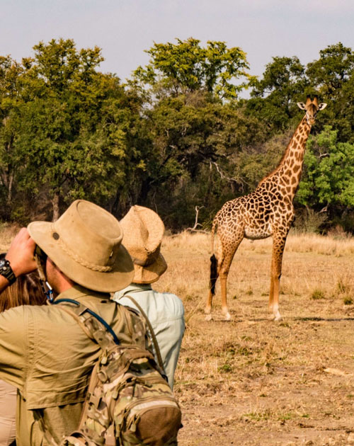 10 Days Kenya Safari