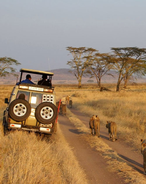 10 Days Turkana Safari