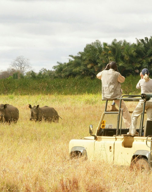11 Days Of Kenya Experience