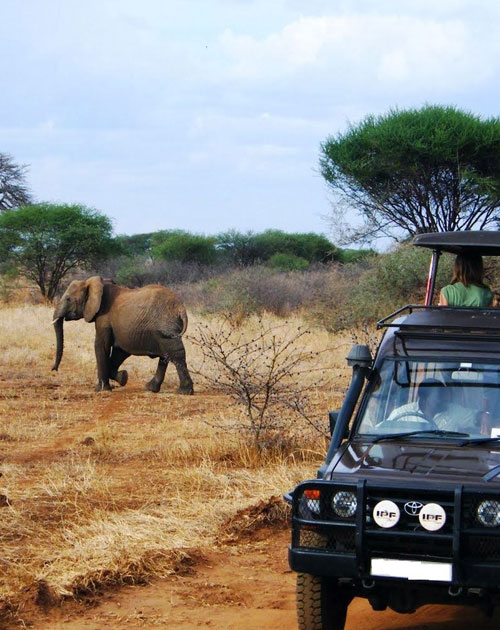 12 Days Kenya And Tanzania 4 x 4 Jeep Safaris