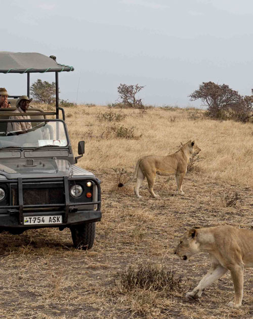 12 Days Kenya Uganda And Rwanda Safari