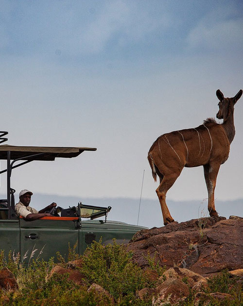 13 Days Wonders Of Kenya