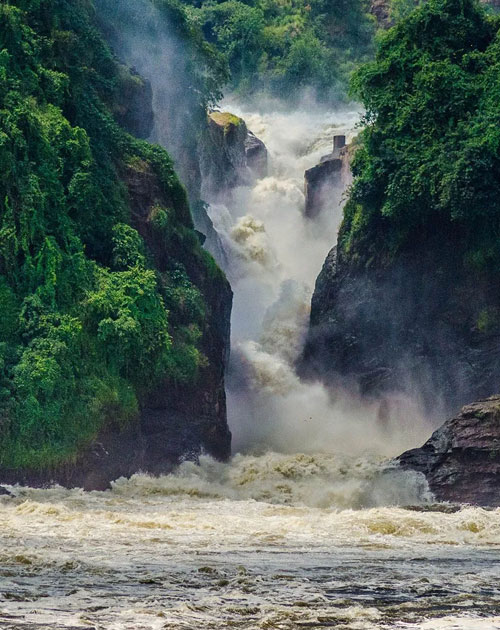3 Days Murchison Falls National Park With Rhino Tracking