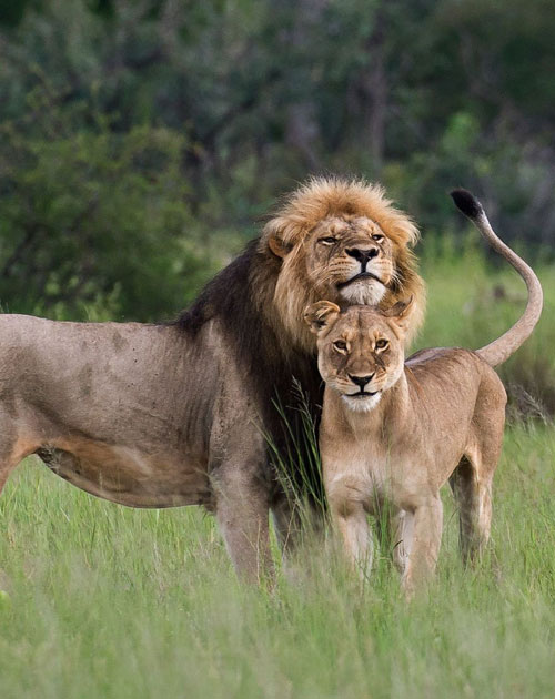 3 Days Queen Elizabeth National Park