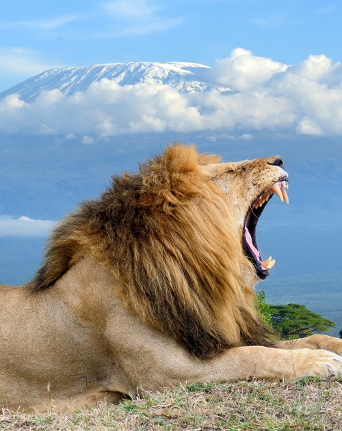 3 Days Amboseli National Park