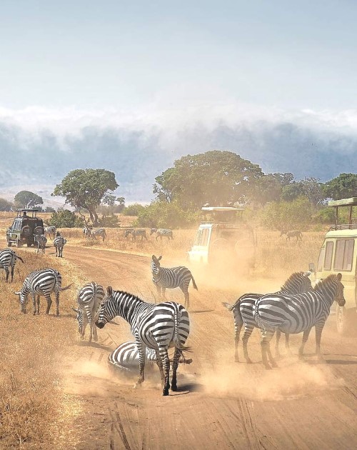 3 Days Ngorongoro-Lake Manyara Safari