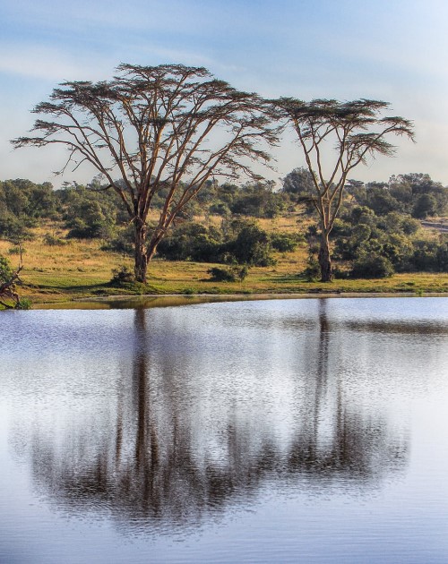 3 Days Ol pejeta Sweet Waters Luxury Safari
