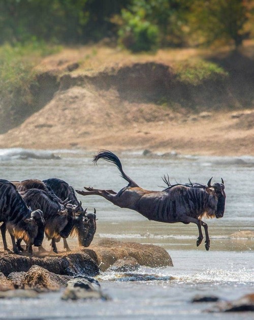 3 Days Serengeti-Ngorongoro Crater