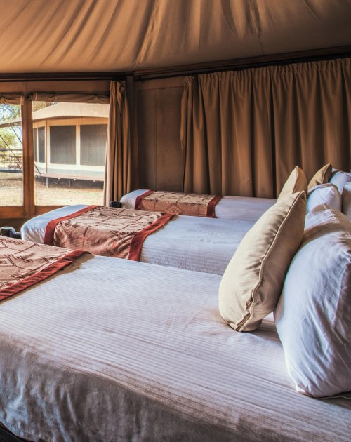 4 Days Ashnil Mara Camp