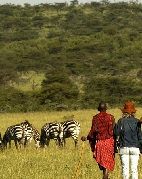 4 Days Manyara Serengeti Ngorongoro Safari