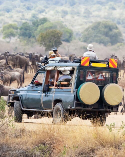 4 Days Masai Mara Jeep Tour