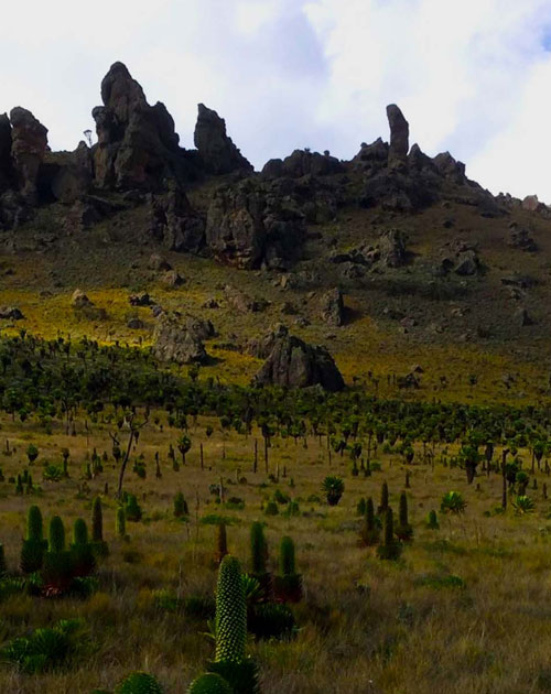 4 Days Mt Elgon Trekking