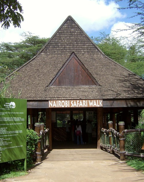 4 Hours Nairobi National Park