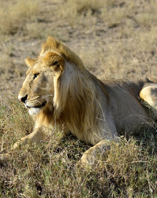 5 Days 4 Nights Amboseli National Park