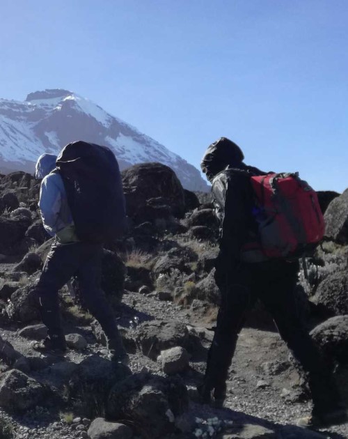 6 Day Kilimanjaro Trek Via The Machame Route