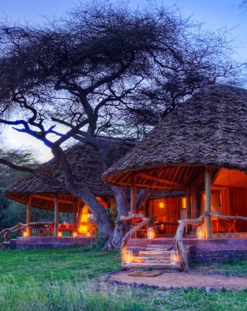 6 Days Amboseli-Nakuru-Mara Lodge Safari