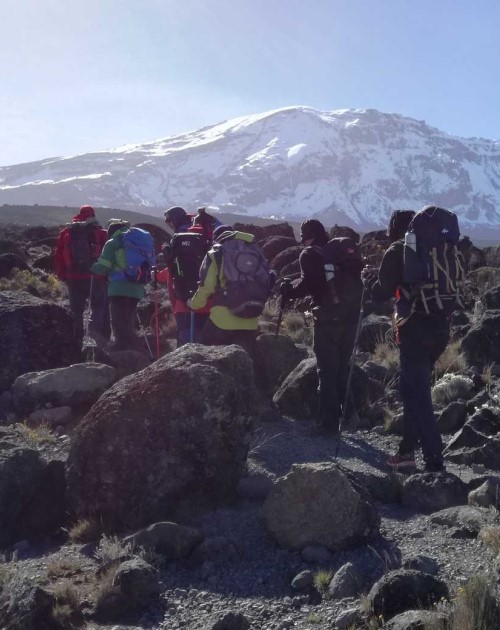 8 Day Kilimanjaro Expedition Via Lemosho Route