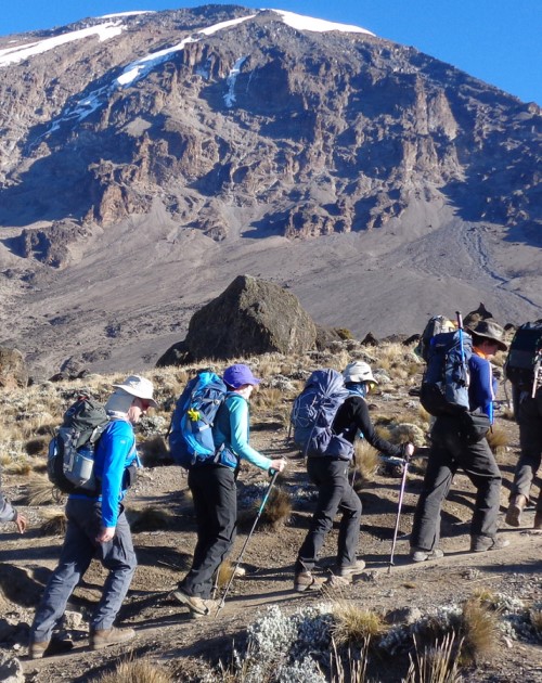 8 Day Kilimanjaro Trek Via Lemosho Route