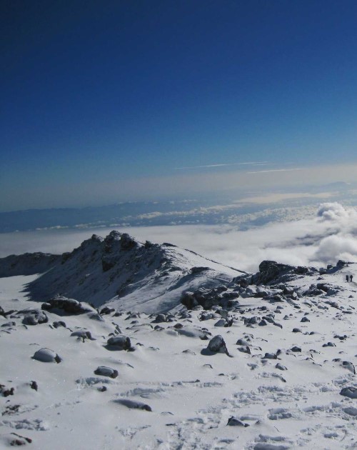 8 Day Mount Kilimanjaro Trek In Tanzania Via The Lemosho Route From Arusha