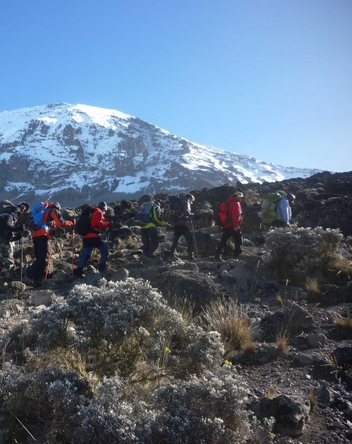 9 Days Northern Circuit Kilimanjaro Climb