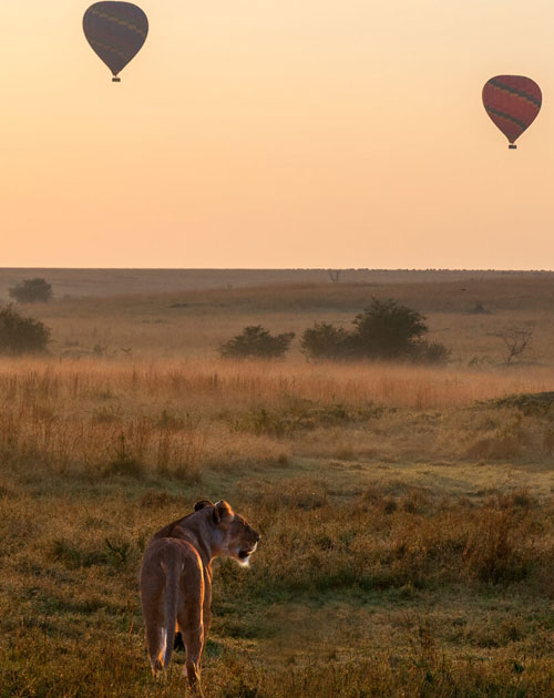 Balloon Flight On Top Of Masai Mara