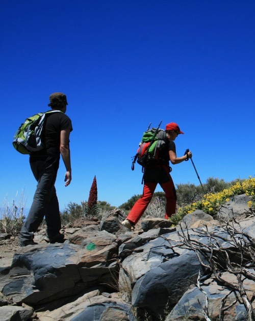 1 Day Mount Kenya Hiking