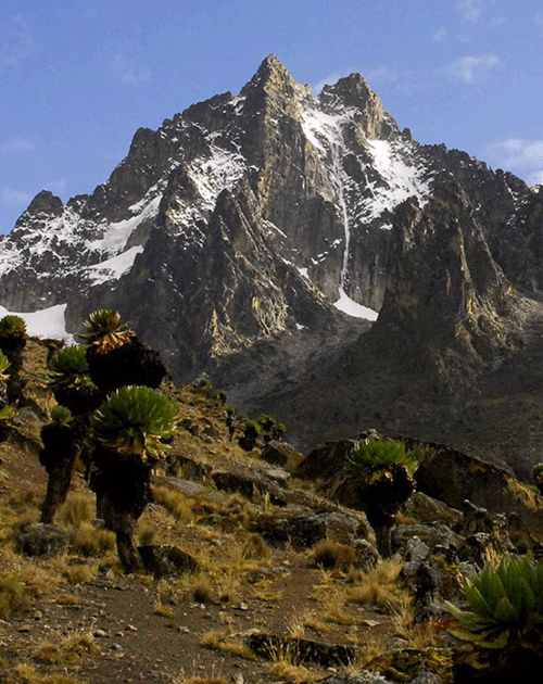 5 Days Mount Kenya Trekking