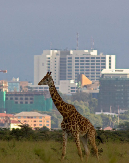 Nairobi City Tour