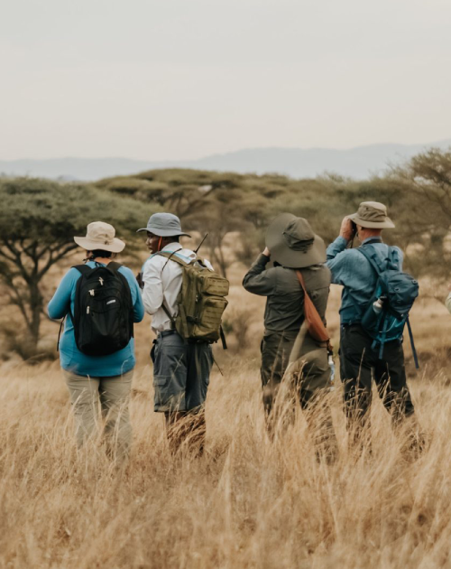 6 Days Rwanda Walking Safari